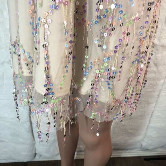 Southern Fried Chics Mini Dress Womens XL  Beige Shimmy For Me Mesh Sequins - Picture 16 of 16
